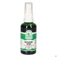 Pater Severin Basilicum Spray, A-Nr.: 5613919 - 03