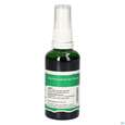 Pater Severin Basilicum Spray, A-Nr.: 5613919 - 04