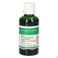 Pater Severin Basilicum Tropfen, A-Nr.: 5613894 - 01
