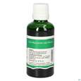 Pater Severin Basilicum Tropfen, A-Nr.: 5613894 - 04