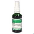 Pater Severin Beifuss Spray Einjährig, A-Nr.: 5646043 - 01