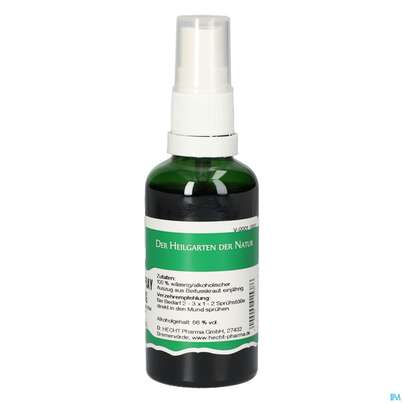 Pater Severin Beifuss Spray Einjährig, A-Nr.: 5646043 - 01