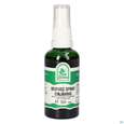 Pater Severin Beifuss Spray Einjährig, A-Nr.: 5646043 - 03