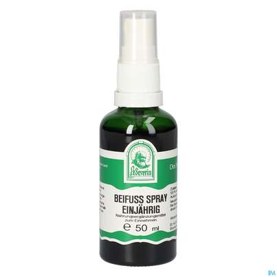 Pater Severin Beifuss Spray Einjährig, A-Nr.: 5646043 - 03