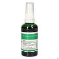 Pater Severin Beifuss Spray Einjährig, A-Nr.: 5646043 - 04