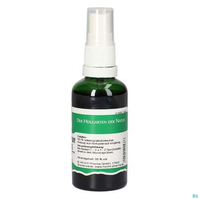 Pater Severin Beifuss Spray Einjährig, A-Nr.: 5646043 - 04