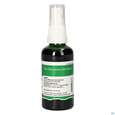 Pater Severin Bruchkraut Spray, A-Nr.: 4854816 - 01