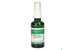 Pater Severin Dmso-spray 15% Mit Menthol, A-Nr.: 5428435 - 01