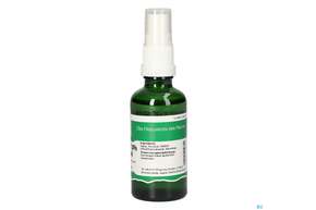 Pater Severin Dmso-spray 30% Mit Menthol, A-Nr.: 5428524 - 01