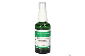 Pater Severin Dmso-spray 70%, A-Nr.: 5429185 - 01