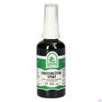 Pater Severin Eibischblüten Spray, A-Nr.: 4443817 - 02