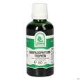 Pater Severin Harpagophytum Tropfen, A-Nr.: 5598574 - 02