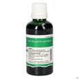 Pater Severin Harpagophytum Tropfen, A-Nr.: 5598574 - 04