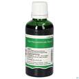 Pater Severin Hirschzungenkraut Tropfen, A-Nr.: 4403344 - 04