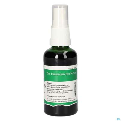 Pater Severin Huflattichblätter Spray, A-Nr.: 5444463 - 04