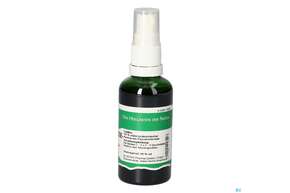 Pater Severin Kapuzinerkresse Spray, A-Nr.: 5695596 - 01