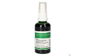 Pater Severin Koriander Spray, A-Nr.: 4444308 - 01