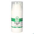 Pater Severin Kornblumen Salbe, A-Nr.: 5637423 - 02
