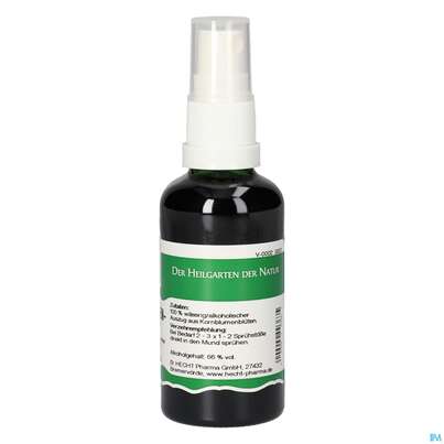 Pater Severin Kornblumen Spray, A-Nr.: 4444314 - 04