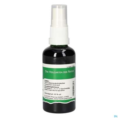 Pater Severin Leinkraut Spray, A-Nr.: 4444389 - 04