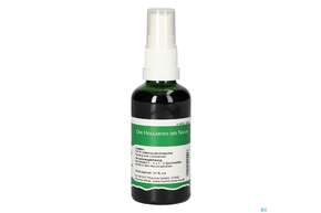 Pater Severin Leinsamen Spray, A-Nr.: 4485247 - 01