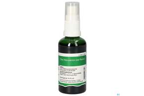 Pater Severin Lungenkraut Spray, A-Nr.: 4444455 - 01