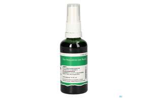 Pater Severin Lycopodium Spray, A-Nr.: 4485773 - 01