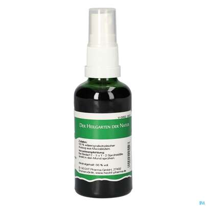 Pater Severin Macis Spray, A-Nr.: 4485359 - 01