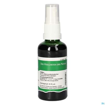 Pater Severin Macis Spray, A-Nr.: 4485359 - 04