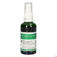 Pater Severin Mädesüßblüten Spray, A-Nr.: 5637618 - 01