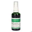 Pater Severin Mädesüßblüten Spray, A-Nr.: 5637618 - 04