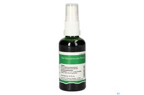 Pater Severin Mannstreu Spray, A-Nr.: 4444509 - 01