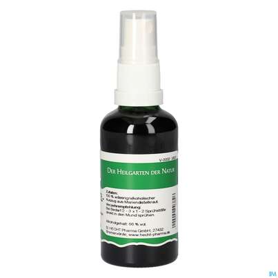 Pater Severin Mariendistel Spray, A-Nr.: 4444521 - 04