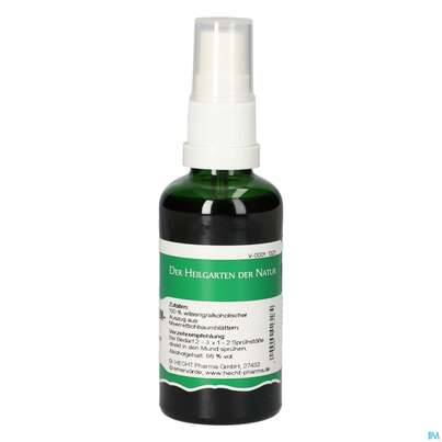 Pater Severin Meerrettichbaum Spray, A-Nr.: 5444718 - 01