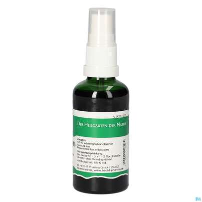 Pater Severin Meerrettichbaum Spray, A-Nr.: 5444718 - 04