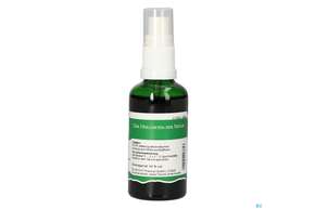 Pater Severin Melissen Spray, A-Nr.: 4444550 - 01