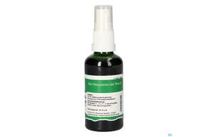 Pater Severin Orthosiphonblätter Spray, A-Nr.: 4444662 - 01