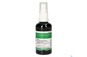 Pater Severin Pfingstrosen Spray, A-Nr.: 4444691 - 01