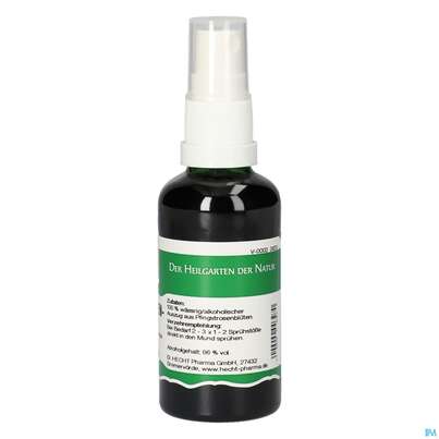 Pater Severin Pfingstrosen Spray, A-Nr.: 4444691 - 04