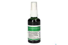 Pater Severin Sanguisorbis Spray, A-Nr.: 4566218 - 01