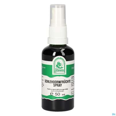 Pater Severin Schlehdornfrüchte Spray, A-Nr.: 5471589 - 03