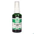 Pater Severin Tagetesblüten Spray, A-Nr.: 5646209 - 03