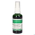 Pater Severin Tagetesblüten Spray, A-Nr.: 5646209 - 04