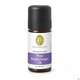 Primavera Aromapflege Weg Begleitungs Oel 10ml, A-Nr.: 5398728 - 01