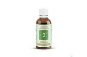 Seewald Bärlauch 50ml, A-Nr.: 4624677 - 01