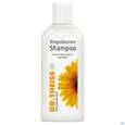 Sie sehen eine Packung Shampoon Dr.theiss Ringelblumen 200ml, Produktbild: 02 Shampoon Dr.theiss Ringelblumen 200ml, A-Nr.: 3204766 - 02