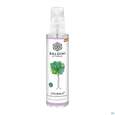 Taoasis Baldini Feelwald Demeter Raumspray 50ml, A-Nr.: 4842150 - 01
