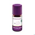 Taoasis Karottensamenöl Bio 5ml, A-Nr.: 4558242 - 03
