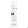 Zirben Koerperlotion Naturkosmetik 250ml, A-Nr.: 5386688 - 01