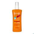 Sie sehen eine Packung Sonnenprodukte Noreva Bergasol Expert Spray Lsf30 125ml, Produktbild: 01 Sonnenprodukte Noreva Bergasol Expert Spray Lsf30 125ml, A-Nr.: 5423573 - 01